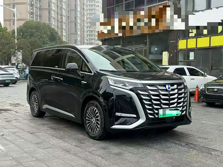 Фото 3 - Denza D9