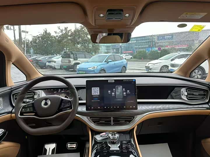 Фото 4 - Denza D9