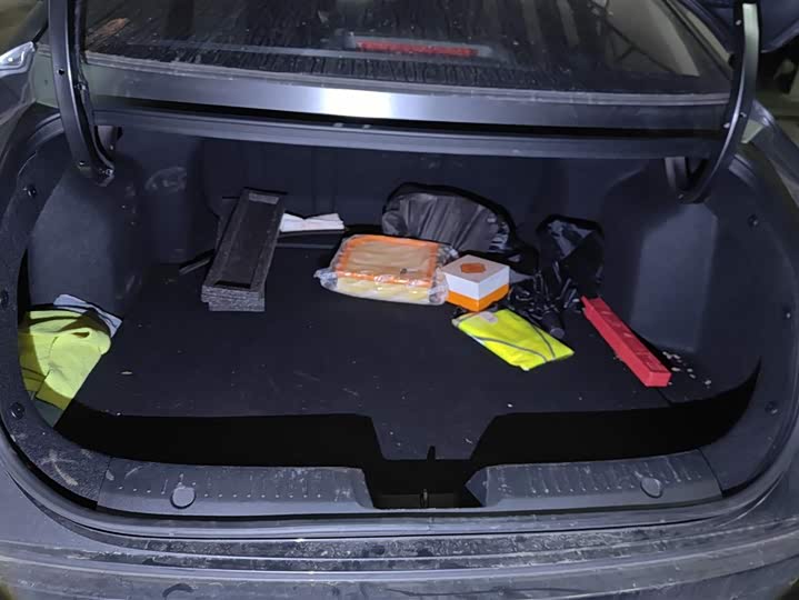 Фото 4 - Changan Eado Plus