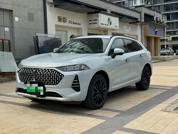 Фото 1 - Wey Mocca Hybrid