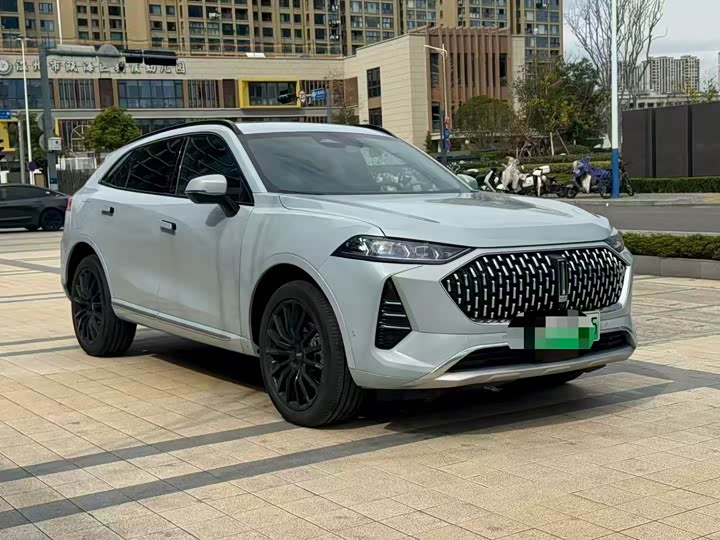 Фото 2 - Wey Mocca Hybrid