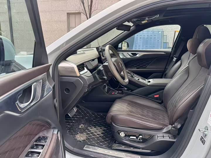 Фото 4 - Wey Mocca Hybrid