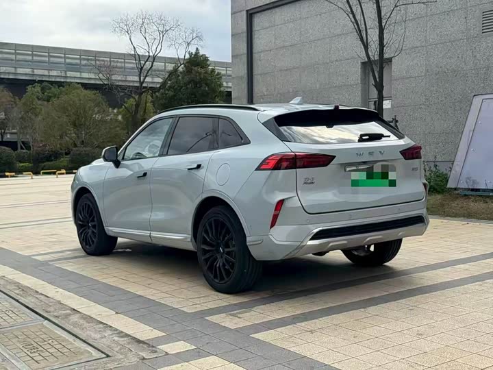 Фото 7 - Wey Mocca Hybrid