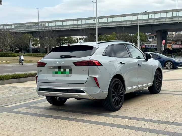 Фото 9 - Wey Mocca Hybrid