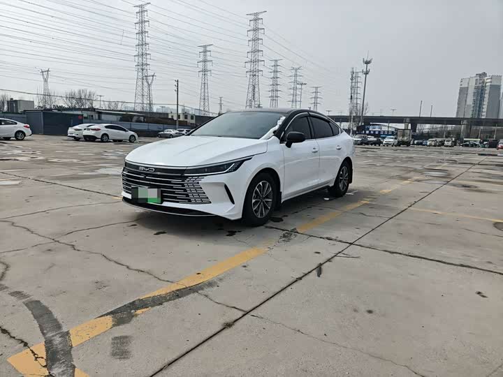 Фото 1 - BYD Destroyer 05