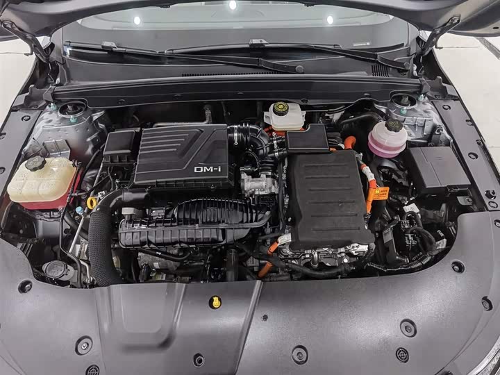 Фото 6 - BYD Destroyer 05