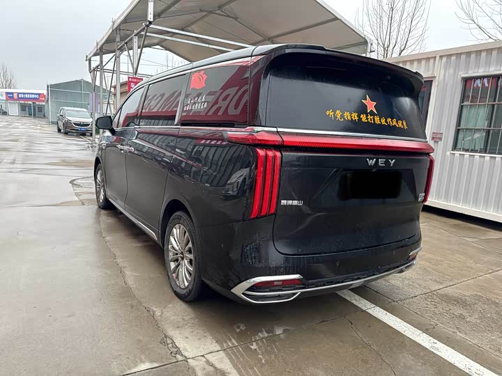 Фото 4 - Wey Gaoshan