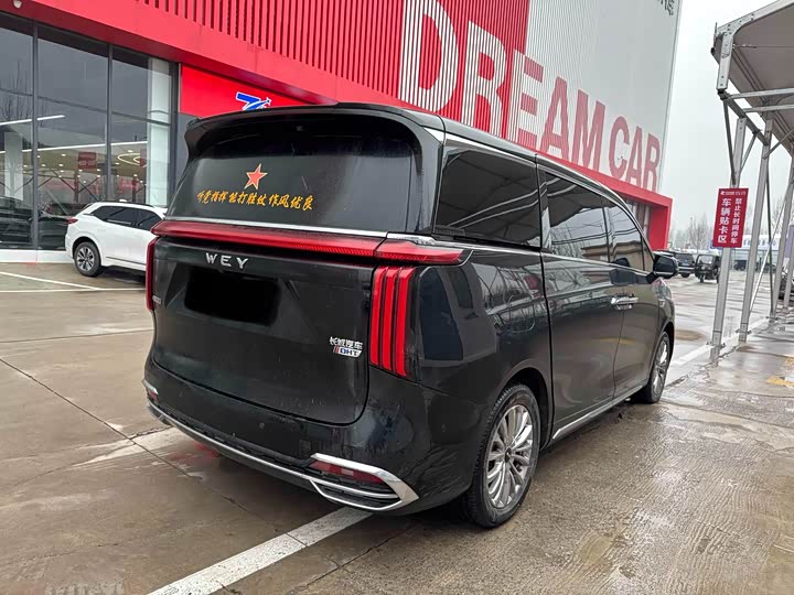 Фото 5 - Wey Gaoshan