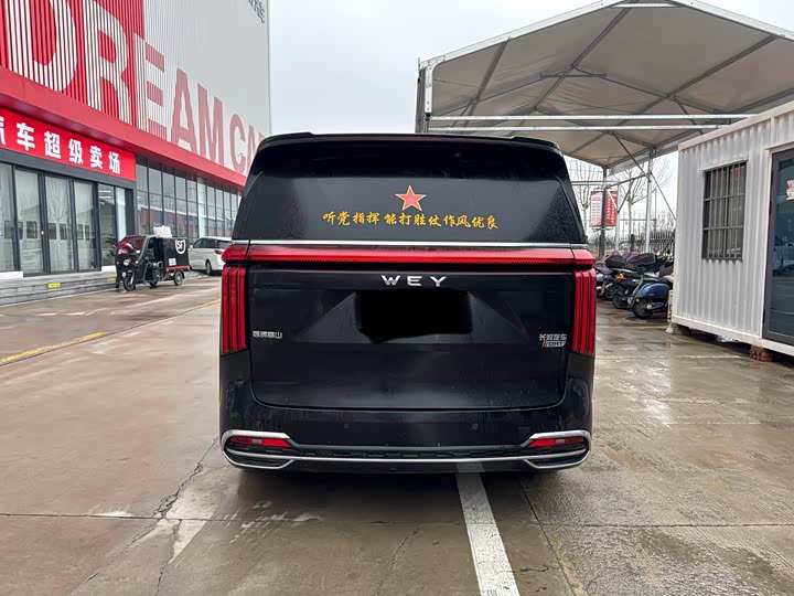 Фото 6 - Wey Gaoshan