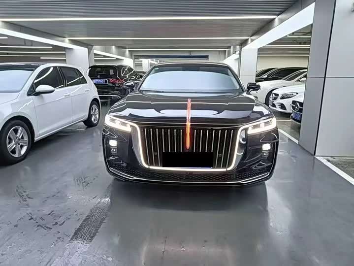 Фото 2 - Hongqi H9