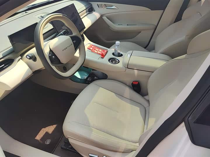 Фото 9 - Dongfeng Forthing Xinghai S7