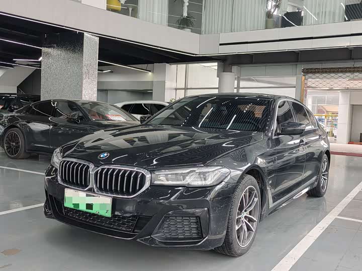 Фото 1 - BMW 5 Series Hybrid