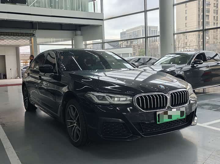 Фото 3 - BMW 5 Series Hybrid