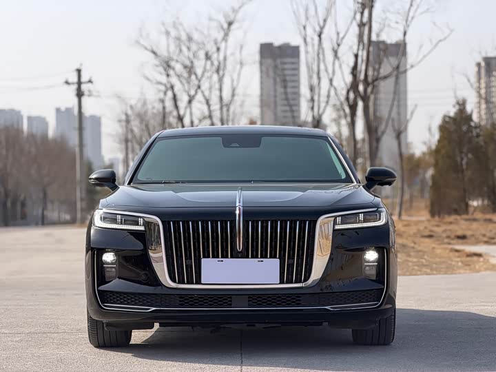 Фото 2 - Hongqi H9