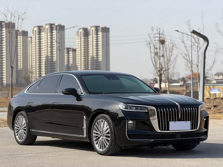Фото 3 - Hongqi H9