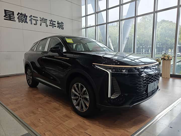 Фото 3 - Exeed RX