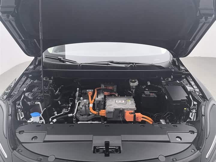 Фото 6 - Hongqi E-QM5