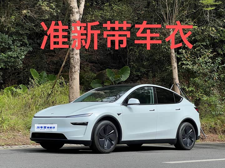 Фото 1 - Tesla Model Y