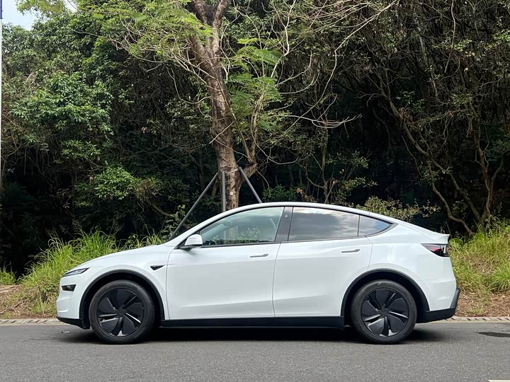 Фото 2 - Tesla Model Y