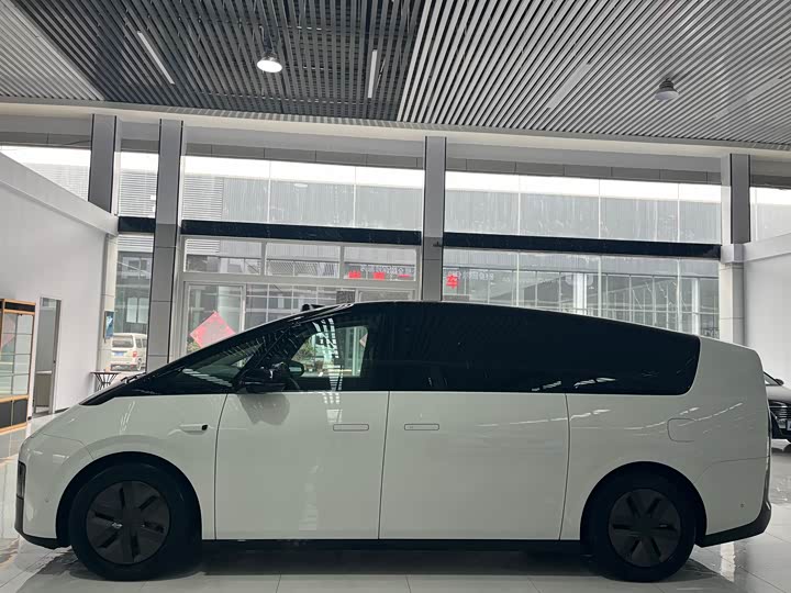 Фото 3 - LiXiang Mega