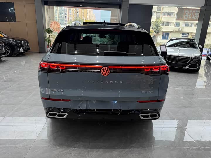 Фото 8 - Volkswagen Tavendor