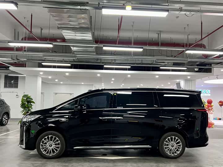 Фото 3 - Wey Gaoshan