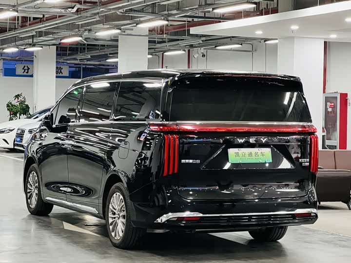 Фото 4 - Wey Gaoshan