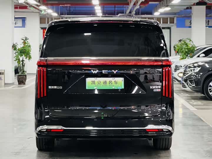 Фото 5 - Wey Gaoshan