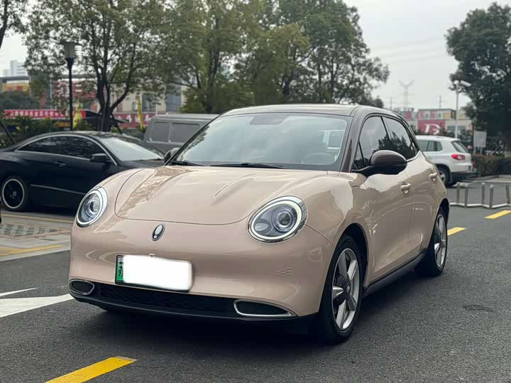 Photo 1 - Ora Good Cat (03)