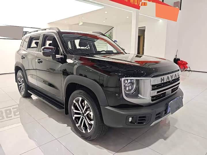 Фото 3 - Haval Dargo
