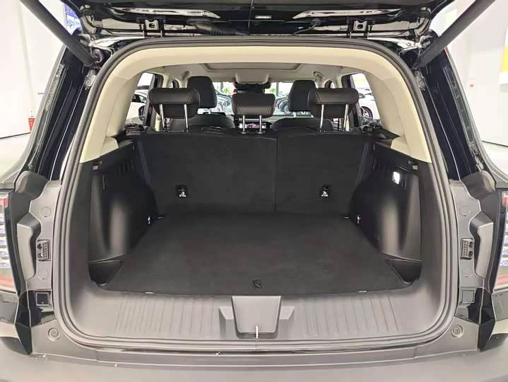 Фото 8 - Haval Dargo