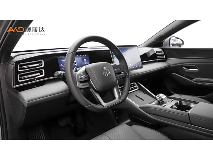 Фото 6 - BYD Qin L