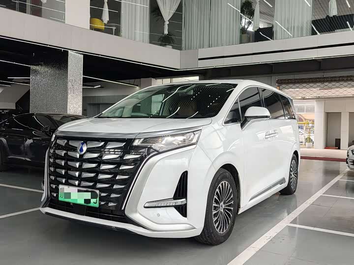 Фото 1 - Denza D9