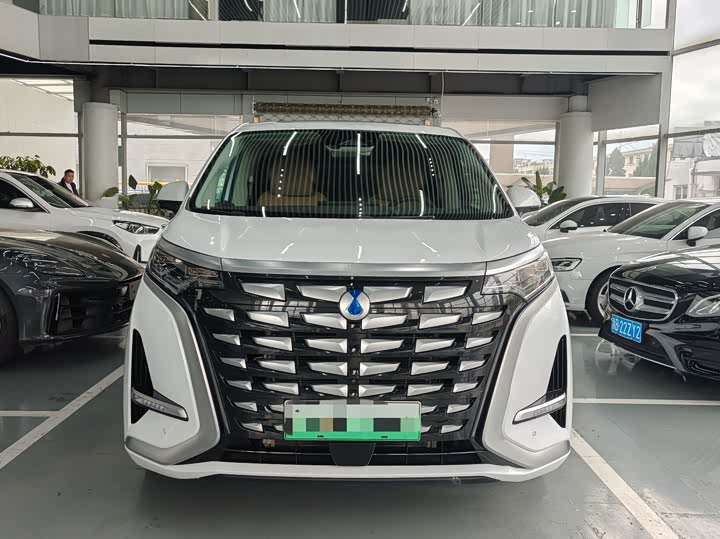 Фото 2 - Denza D9