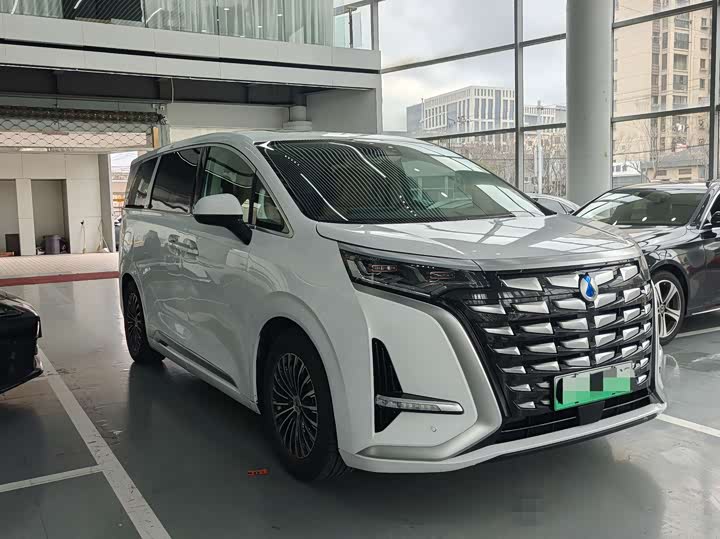 Фото 3 - Denza D9