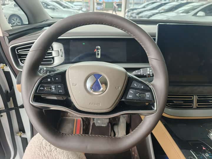 Фото 6 - Denza D9