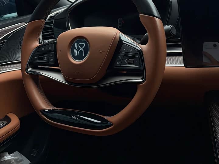 Фото 9 - BYD Han