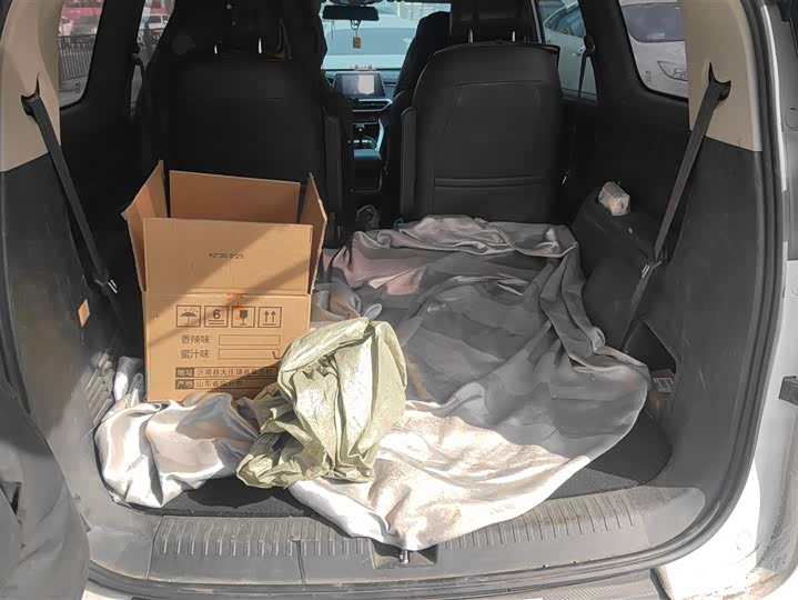 Фото 4 - Maxus G50