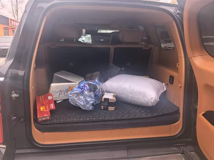 Photo 4 - Tank 500 Hybrid