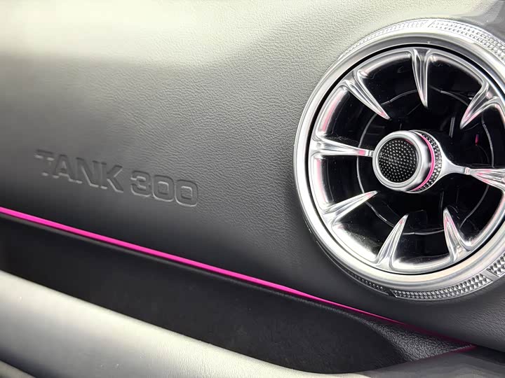 Фото 6 - Tank 300