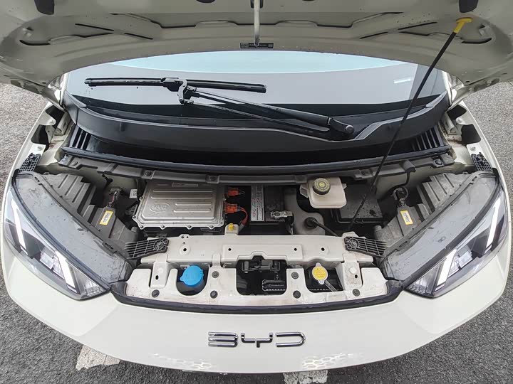 Фото 9 - BYD Seagull