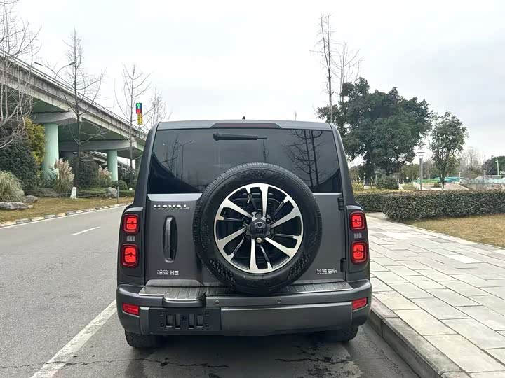 Photo 8 - Haval H9