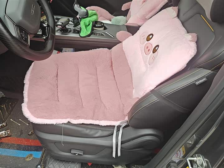 Фото 9 - Changan Oshan X5 Plus