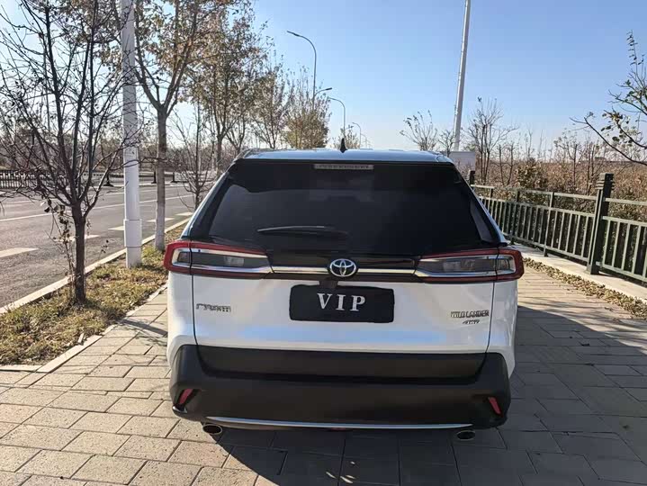 Фото 4 - Toyota Wildlander