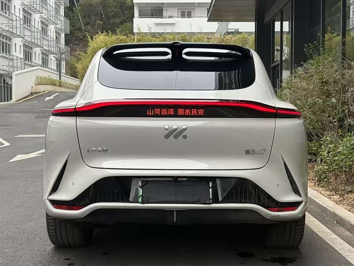 Фото 4 - IM motors LS7