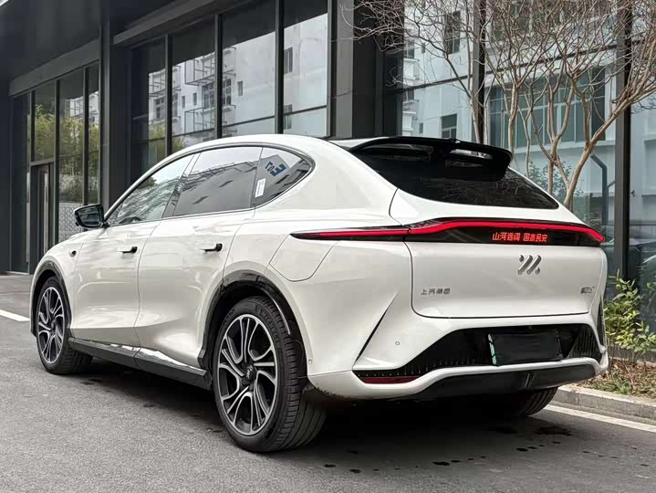 Фото 5 - IM motors LS7