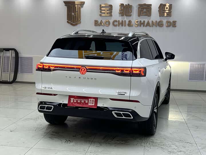 Фото 2 - Volkswagen Tavendor