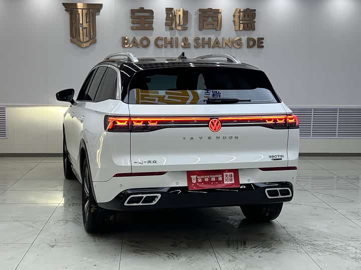 Фото 6 - Volkswagen Tavendor