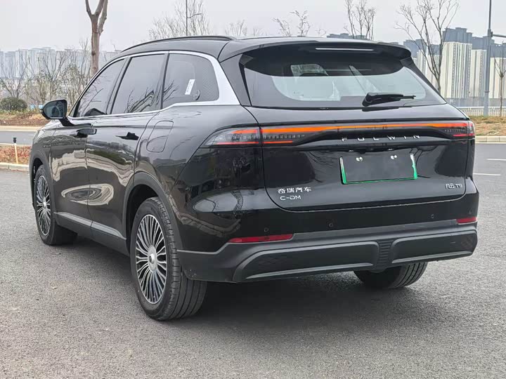 Фото 9 - Chery Fulwin T9