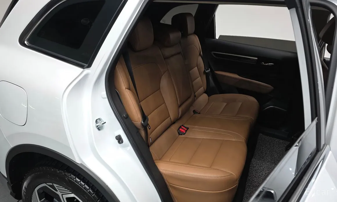 Фото 11 - Renault QM6